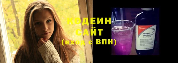 круглые Пересвет
