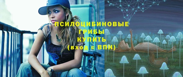 СК Алзамай