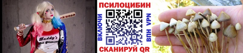 Псилоцибиновые грибы MAGIC MUSHROOMS  купить  сайты  Кыштым 